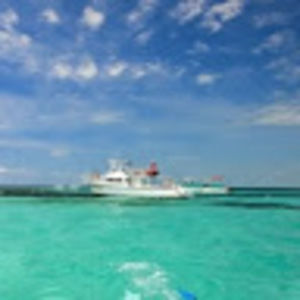 Meet your Posher, Keegan